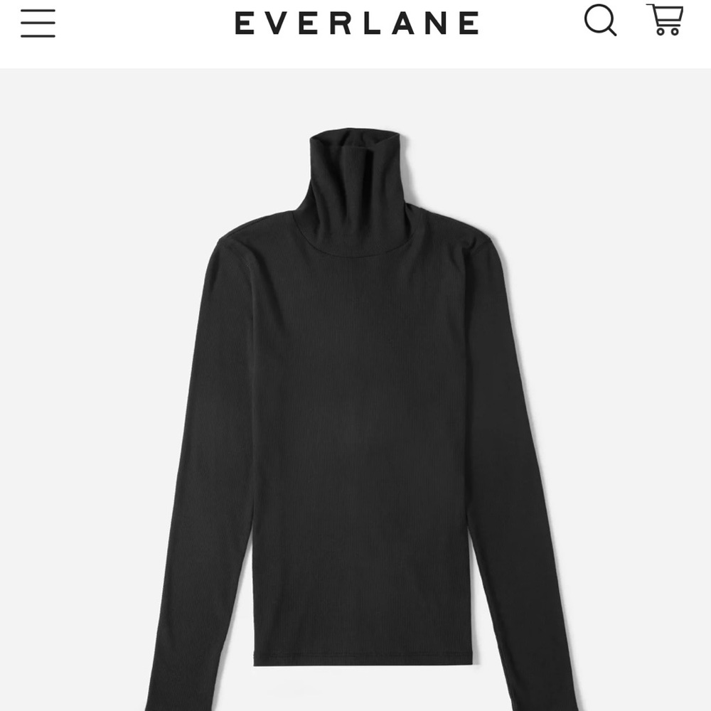 Everlane cotton turtleneck